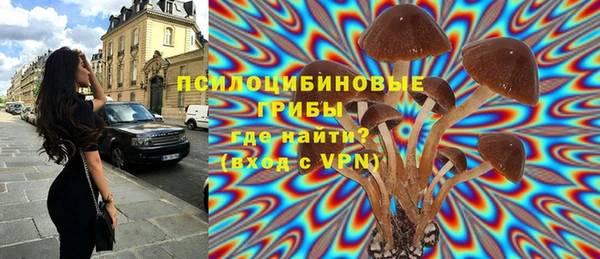 ешки Абаза
