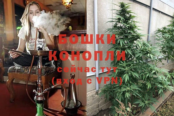 ешки Абаза