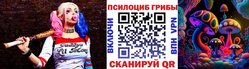 купить   Берёзовка  Галлюциногенные грибы GOLDEN TEACHER 